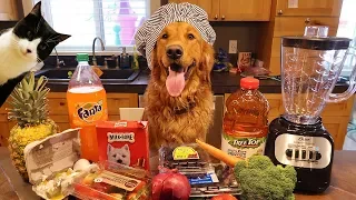 Funny Chef Dog Earl Makes Smoothies! Cat Makes A Mess