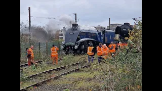 Deltic and Sir Nigel Gresley in York Today 23 11 23