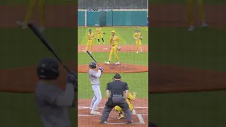 “Green Green Grass” In-Game Dance | Savannah Bananas #shorts #bananaball #baseball