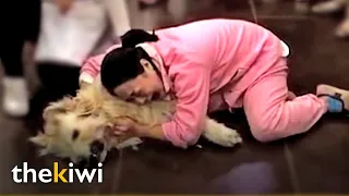 Heartbreaking moment owner says goodbye to her beloved dog