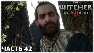 The Witcher 3: Wild Hunt- Прохождение- Часть #42