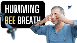 Bhramari Pranayama Explained 🐝 Master the Humming Bee Breath to Increase Nitric Oxide