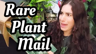 Collective Rare Plant Unboxing + How to Care for Your Plant Mail After You Get it 🌿