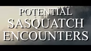 POTENTIAL BIGFOOT ENCOUNTERS - Mountain Beast Mysteries Episode 22.