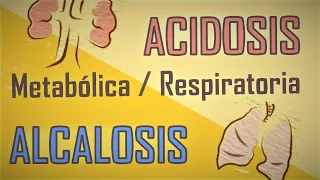 🧪 Entendiendo la Acidosis y Alcalosis (Respiratorias y Metabólicas) 🧪