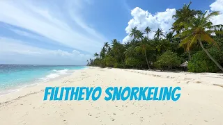 Filitheyo Maldives House Reef Snorkeling (4K Quality)