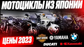 ТОП МОТОЦИКЛЫ из Японии! ЦЕНЫ 2023. НОВЫЙ ПРИВОЗ: BMW, Yamaha, Kawasaki, Honda и Harley-Davidson