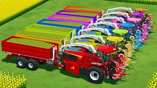 CUT CORN AND MAKE CHAFF WITH JOHN DEERE FORAGE HARVESTER AND TRANSPORT CARS WITH SCANIA  - FS 22