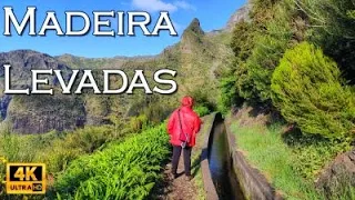 Madeira Levada Walks • 4K