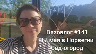 Вязовлог #141.     17 мая в Норвегии 🇧🇻 Сад-огород , мои продвижения