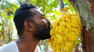 Spicy sweet jackfruit recipe by village boy | Village cooking videos - Spice recipes