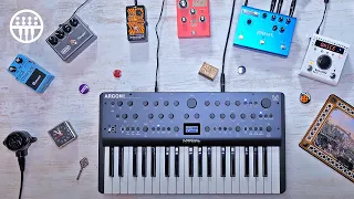 Synths and Modulation Pedals | Thomann