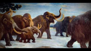 Mamut i inne zwierzęta epoki lodowcowej