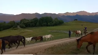 Tusheti is one of the mountainous regions in Georgia.