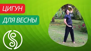 Цигун для весны. Цигун для начинающих. Уроки цигун