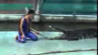 Croc chews off mans arm