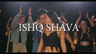 ISHQ DANCE - JAB TAK HAI JAAN - VINA FAN PARODI RE CREATE - SHAH RUKH KHAN KATRINA KAIF