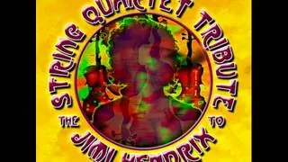 Purple Haze - Vitamin String Quartet Tribute to Jimi Hendrix