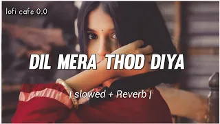 Dil Mera Thod Diya ( Slowed + Reverb  ) Alka Yagnik | Bollywood Lofi Song |