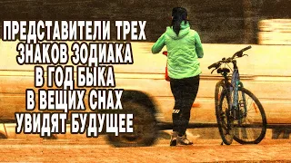 Представители трех знаков зодиака в год Быка в вещих снах увидят будущее