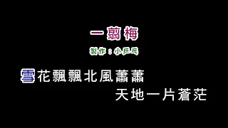 (更新 演唱版)費玉清-一翦梅(DIY卡拉OK字幕)
