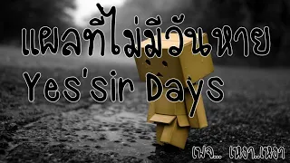 แผลที่ไม่มีวันหาย  :  Yes'sir Days.