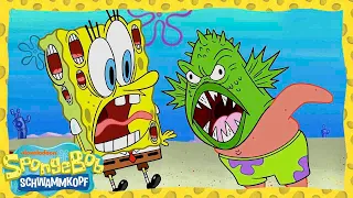 SpongeBob |SpongeBobs und Patricks Gehirne fliegen davon!| SpongeBob Schwammkopf