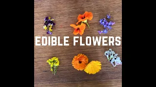 Edible Flowers