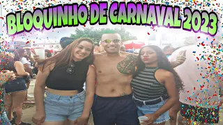 BLOQUINHO DE CARNAVAL EM SP - LUÍSA SONZA MODO SURTO E WANESSA CAMARGO BLOCO XAINIRÔ VLOG (2 DIA)