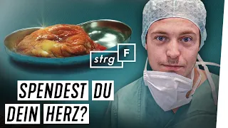 Ich im OP: Was passiert bei einer Transplantation? | STRG_F