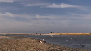 Estero de Mancora y Bicicleteada cerros aledaños