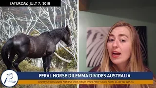 WORLD NEWS: Bird Poaching, Brumbies and the U.S. Farm Bill (7/7/18)