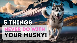 5 Things You Must NEVER Do To Your Husky