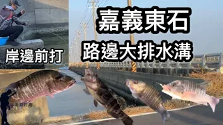 嘉義東石路邊大排水溝，岸邊前打石斑和紅槽