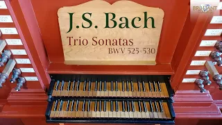 J.S. Bach: Trio Sonatas BWV 525-530