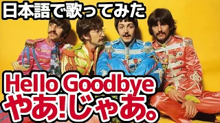 【ビートルズ】やあ！じゃあ。（Hello Goodbye）【日本語で歌ってみた】