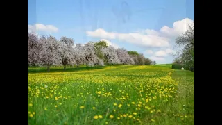 Ознайомлення з природним довкіллям  "Весна- пробудження природи"