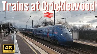 Trains at Cricklewood (6th January 2024)