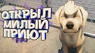 ОТКРЫЛ ПРИЮТ МИЛЫХ ЖИВОТНЫХ 🐕 (Подписчиков) в Animal Shelter