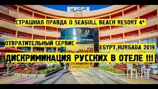 ХУДШИЙ СЕРВИС В ЕГИПТЕ| SEAGULL BEACH RESORT 4* ВСЯ ПРАВДА| ПЛОХОЙ СЕРВИС