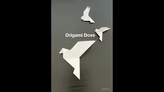 How to fold Origami Dove (Traditional) #Shorts