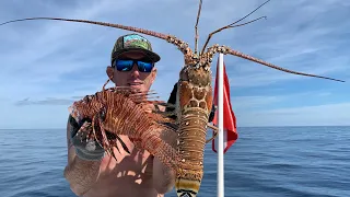 Giant lobster Catch Clean & Cook ( SWIMMING with MANATEE’S )