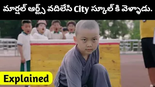 వీడు బుడ్డోడు అనుకుంటే పొరపాటే | Shaolin Boy Movie Explained In Telugu | #explained #martialarts