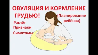 🔔ОВУЛЯЦИЯ ПОСЛЕ РОДОВ 👶ПРИ ГВ. 👆РАСЧЁТ И ПРИЗНАКИ ОВУЛЯЦИИ ПРИ ЛАКТАЦИИ