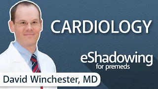 How to Become a Cardiologist with David Winchester, MD | eShadowing for Premeds Ep. 15