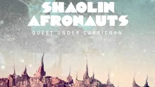 10 The Shaolin Afronauts - Forests of Io [Freestyle Records]