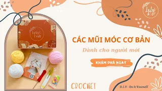 Hướng Dẫn Học Móc Len Cơ Bản Cho Người Mới Bắt Đầu - LYLYCRAFT