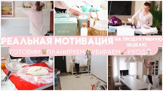 🐝 ПОДГОТОВКА К ПРОДУКТИВНОЙ НЕДЕЛЕ🐝/ РЕАЛЬНАЯ МОТИВАЦИЯЗАГОТОВКИ ПЛАНИРОВАНИЕ УБОРКА И УХОД🧖🏼‍♀️