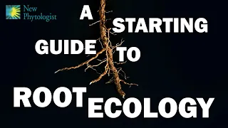 A new starting guide to root ecology