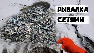 Зимняя рыбалка сетями на реке Амур. Караси и судаки рвут сети.